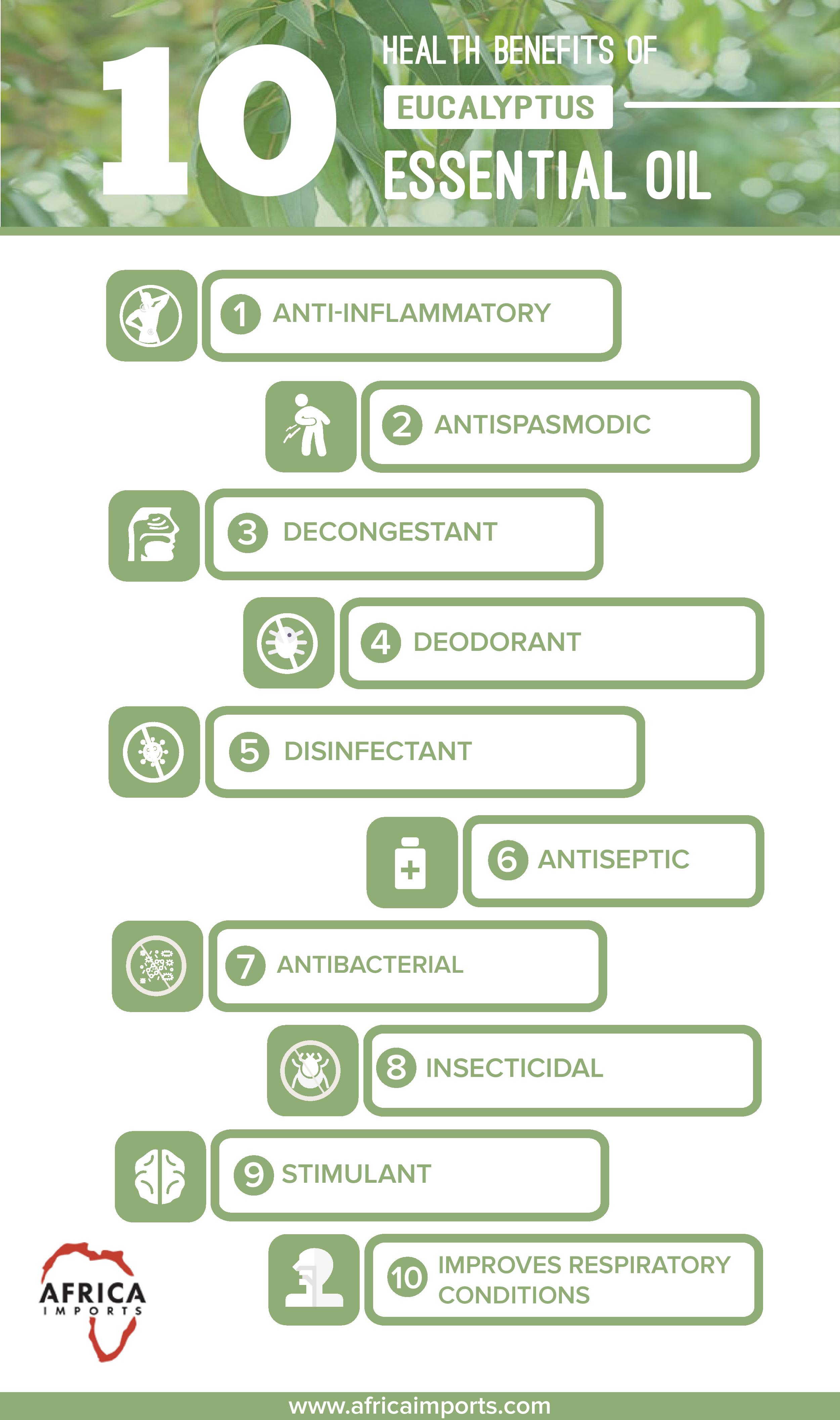 Eucalyptus: What are the health benefits?