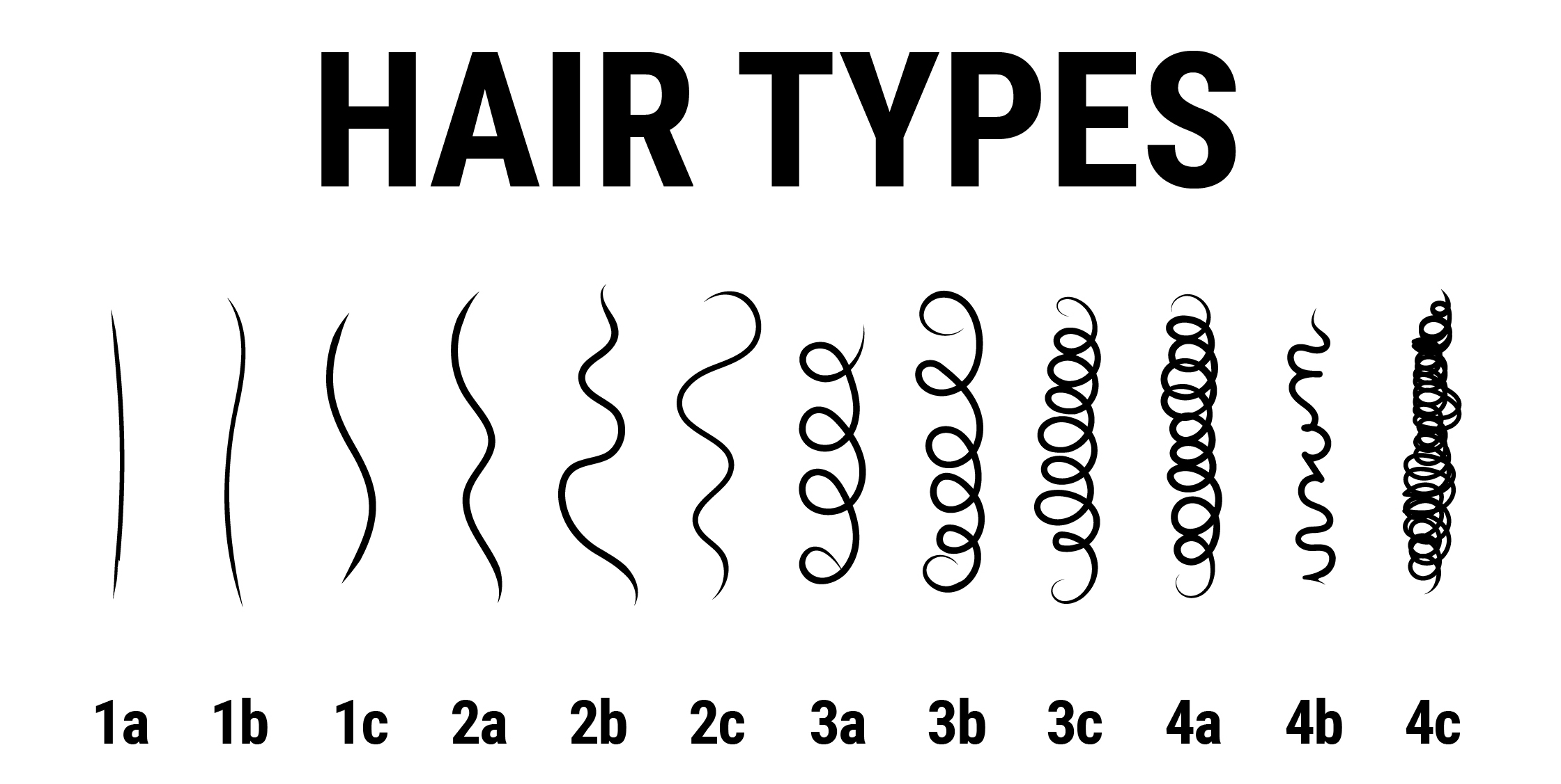 hair texture chart 4c