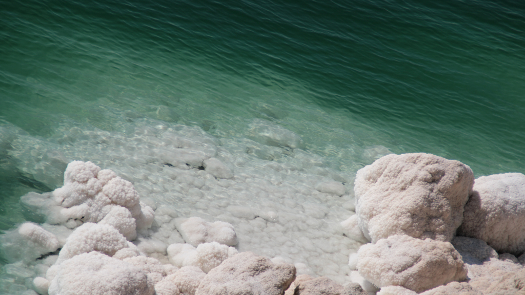 Dead Sea Mud