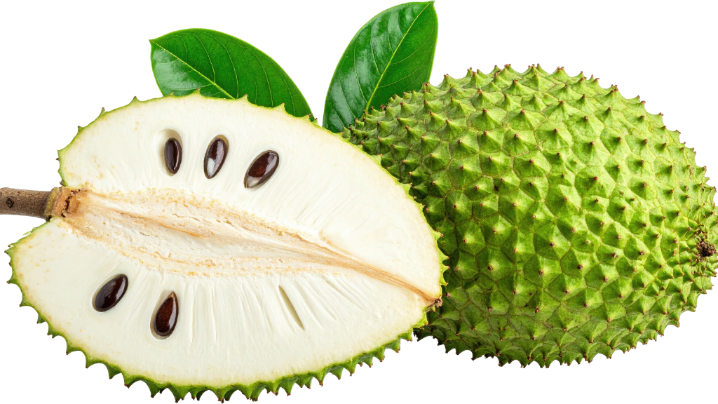 Soursop Bitter Fruit