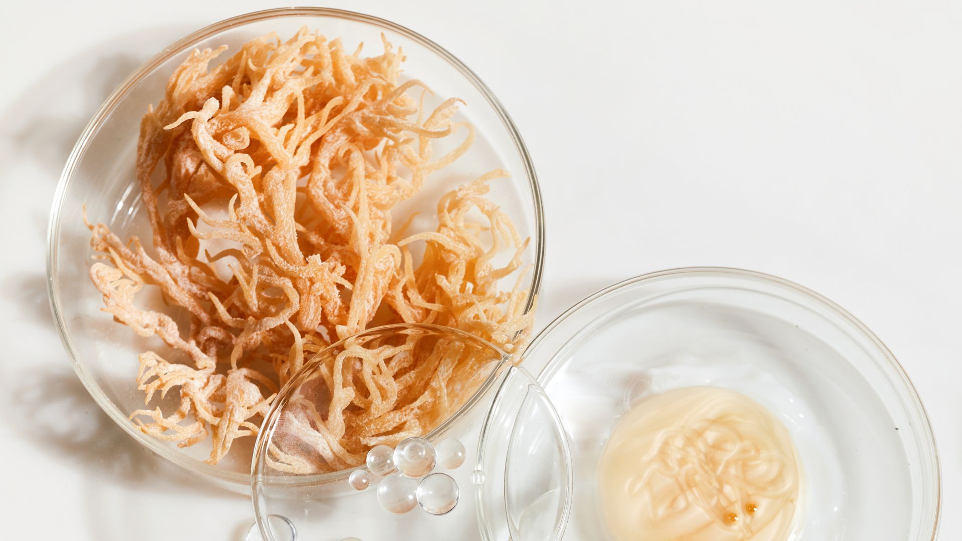 Does Sea Moss Work for Weight Loss?